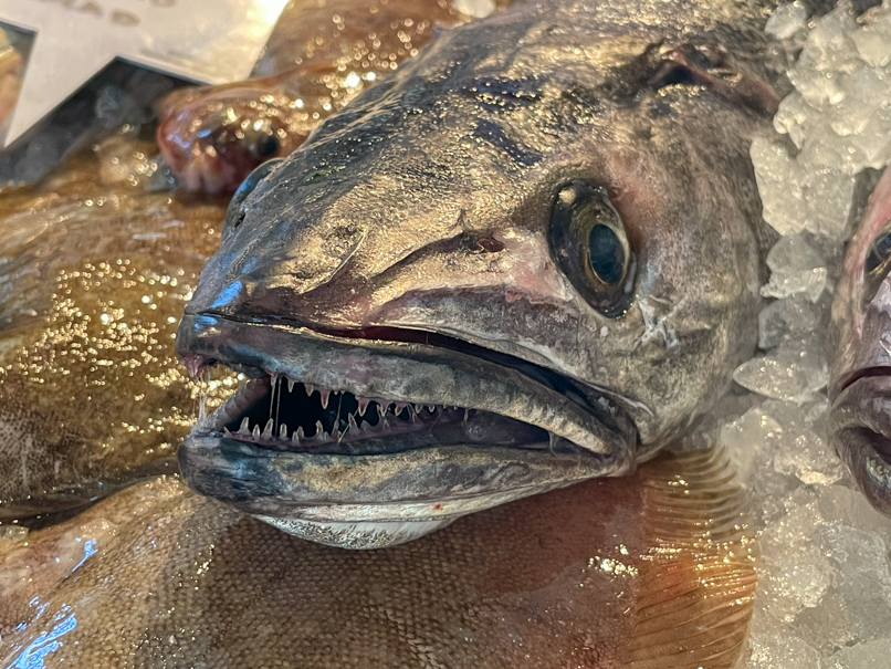 Frischer Fisch in der Feskekörka (Fischkirche) in Göteborg