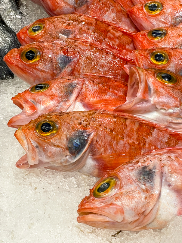 Blaumäulchen in der Fischtheke im Intermarché Hiper in Lagos